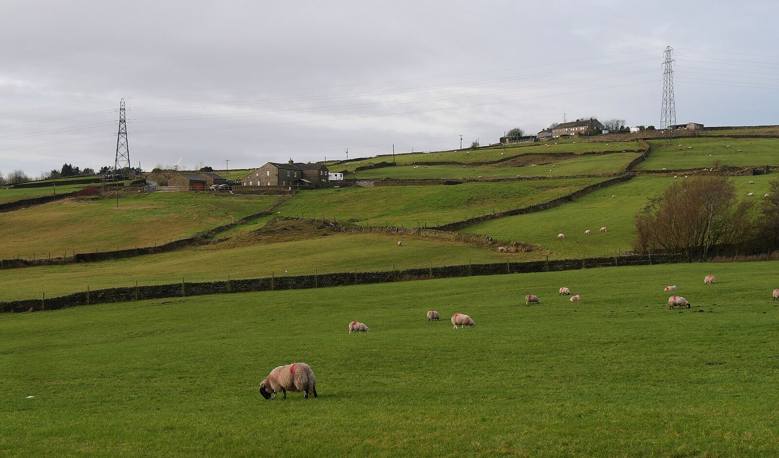 Open hilltop fields above Queensbury with a clear view to the skyline